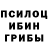 Псилоцибиновые грибы Cubensis Jared Harvey