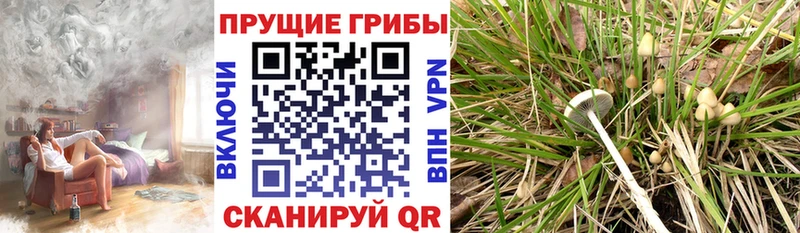 Псилоцибиновые грибы GOLDEN TEACHER  дарнет шоп  Югорск 
