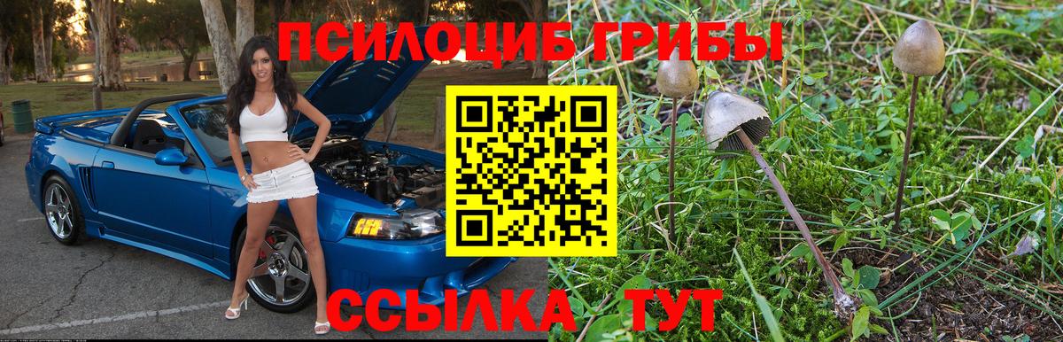 Псилоцибиновые грибы MAGIC MUSHROOMS  Вход с VPN  купить наркотики цена  Югорск 